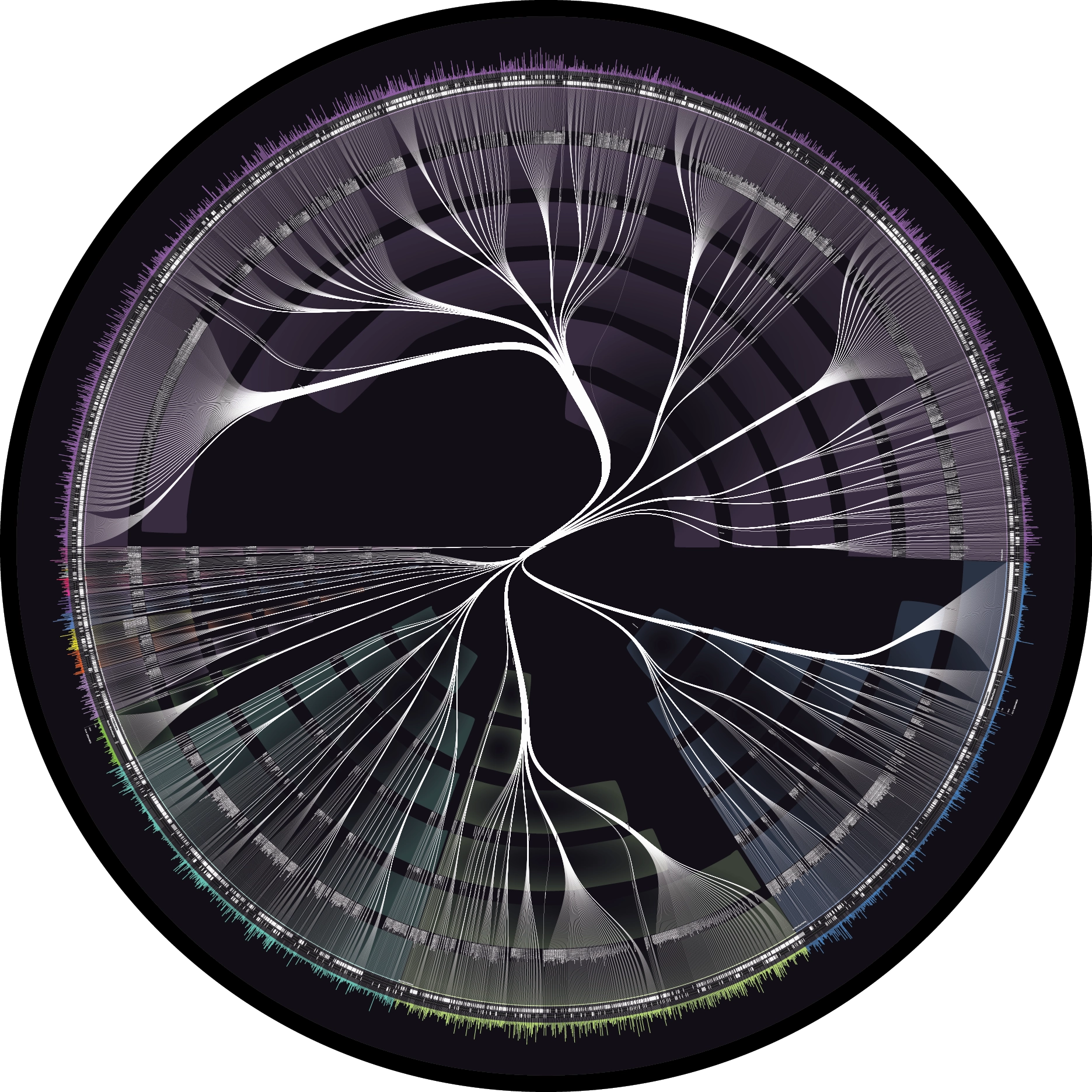 Biomes visualization